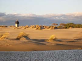 Le phare de la plage de l Espiguette