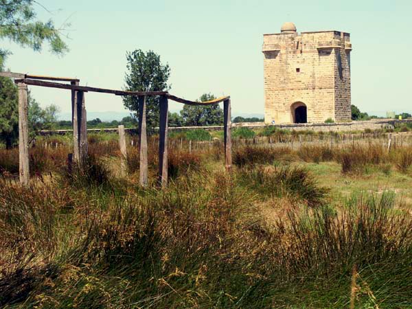La Tour Carboni�re