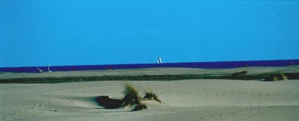 Plage de l Espiguette